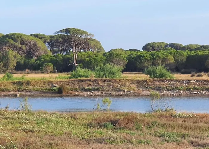 Villa Dunes 350m From The Sandy