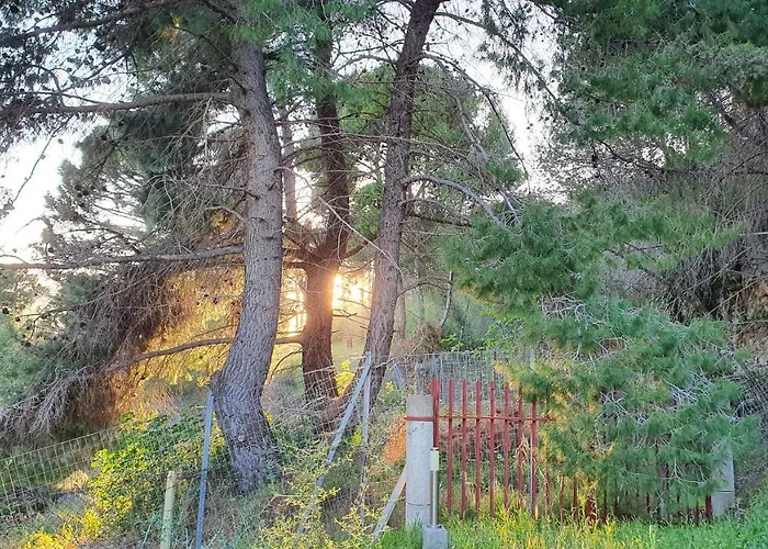 Dunes 350m From The Sandy Villa *