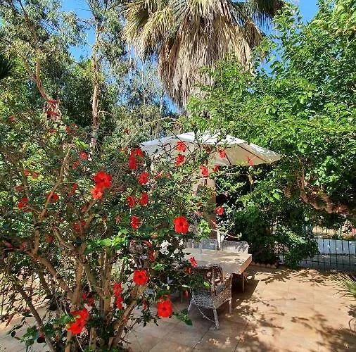 Dunes 350m From The Sandy Villa *