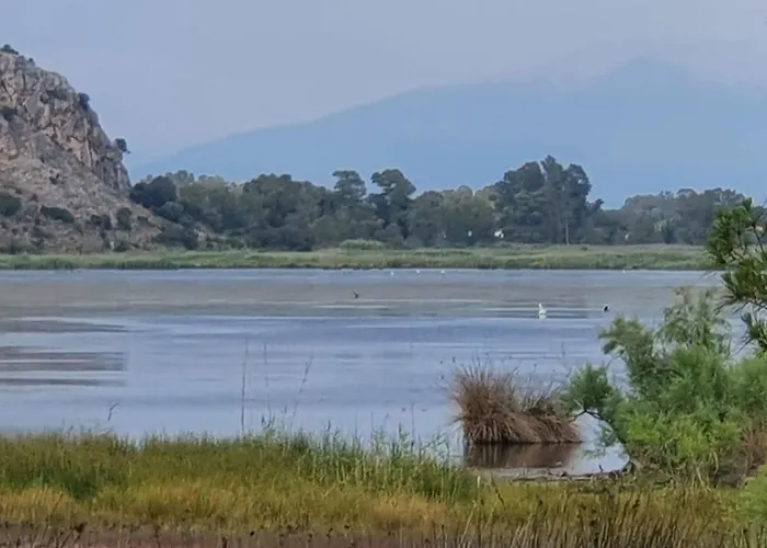 Dunes 350m From The Sandy Villa Kalogria (Achaea)