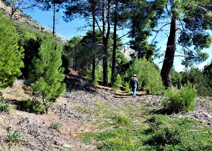 Dunes 350m From The Sandy Villa Kalogria (Achaea)