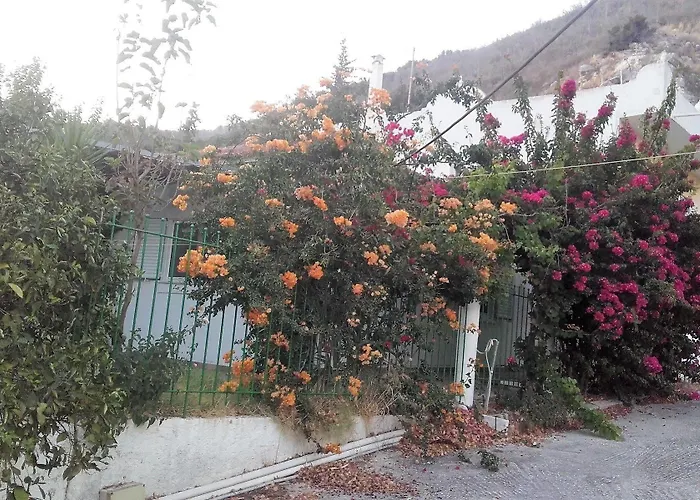 Villa Dunes 350m From The Sandy Kalogria (Achaea)