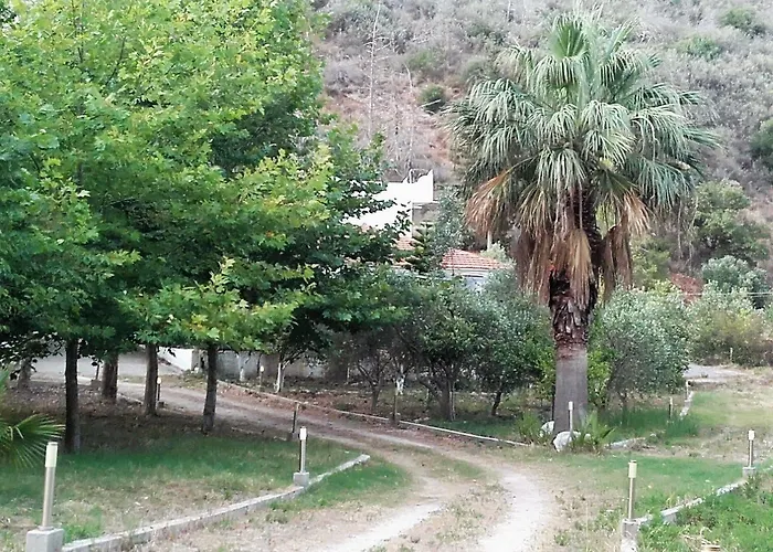 Dunes 350m From The Sandy